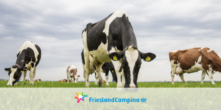 Banking charges review for FrieslandCampina